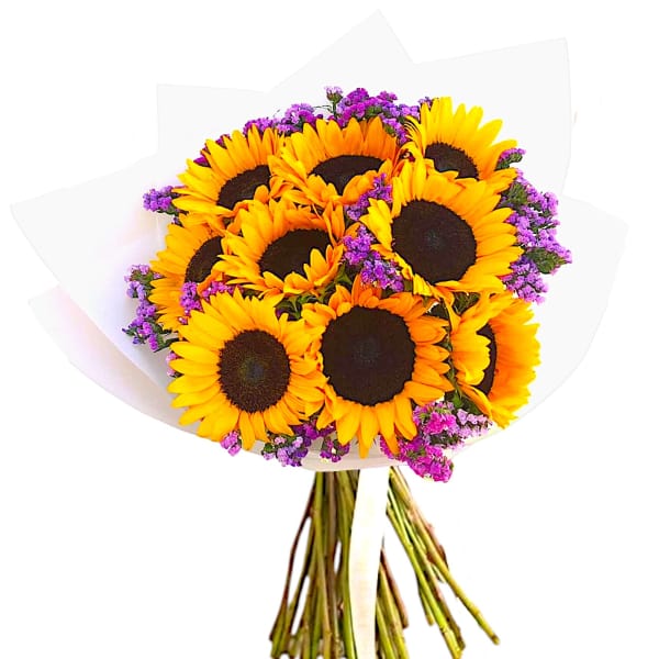 Sunshine Love