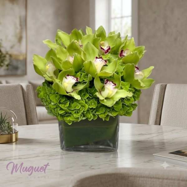 Green orchid and hydrangea arrangement in a square glass vase