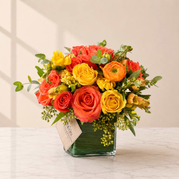 Sun Kiss