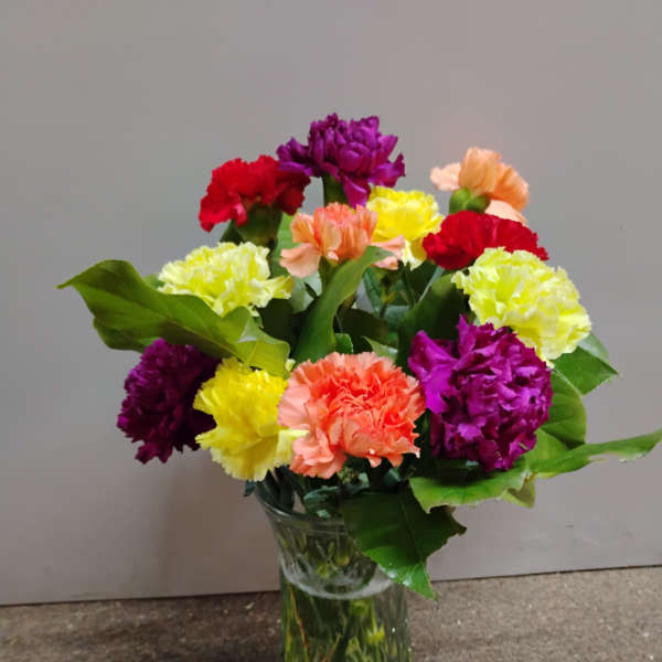 Colorful carnations arranged in a clear glass vase