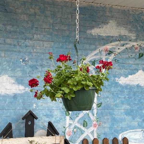 hanging baskets