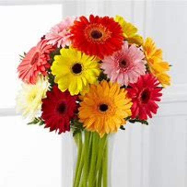 Colorful gerbera daisy bouquet in a clear glass vase