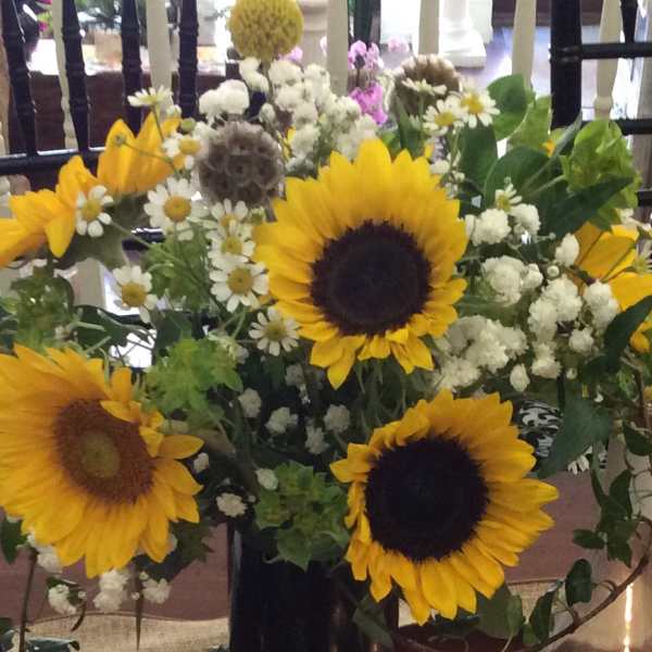 Ray of Sunshine: Sunflowers Special Sale