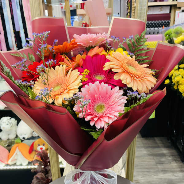 Bouquet of colorful gerbera daisies wrapped in burgundy paper