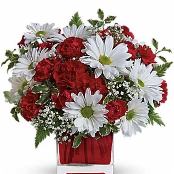 Red carnations and white daisies in a clear glass vase