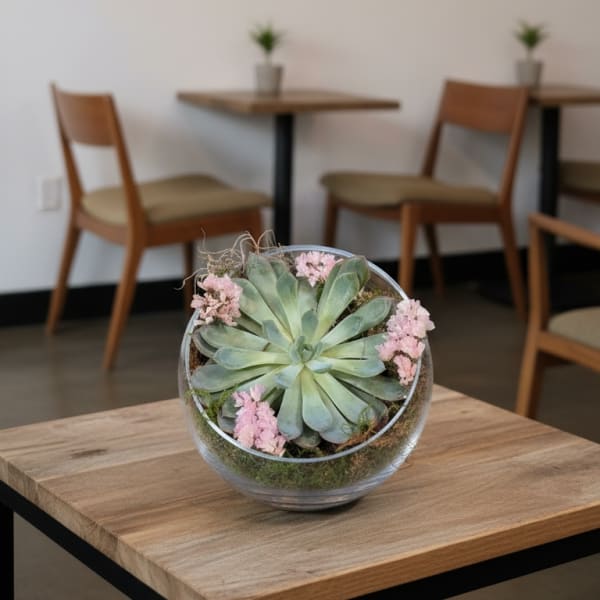 Succulent Bowl