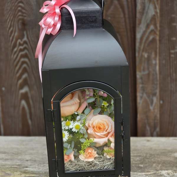 Black lantern with peach roses and white daisies inside, topped with a pink ribbon