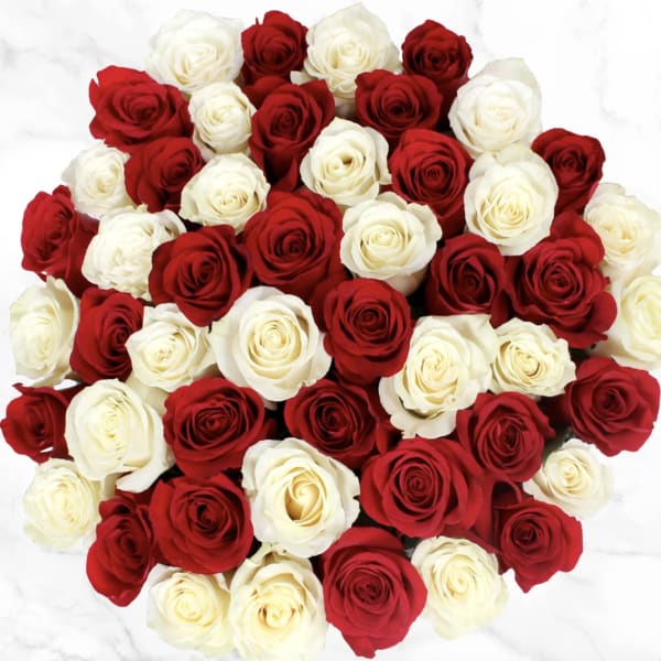Bouquet of red and white roses arranged in a dense cluster