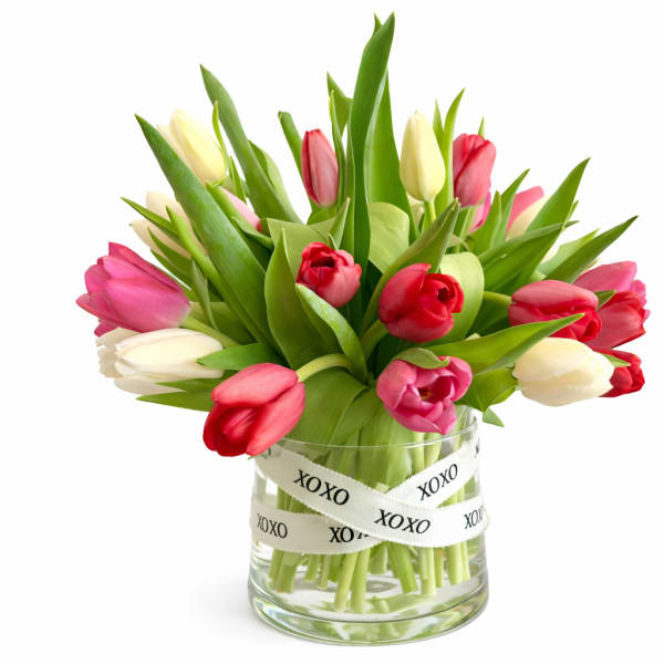 Bouquet of pink, red, and white tulips in a glass vase with XOXO ribbon
