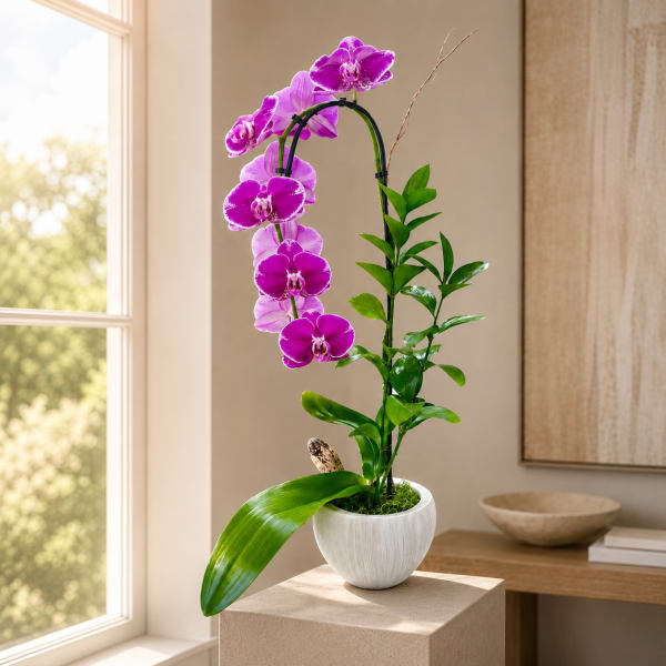 Orchid Single Ceramic - Pink