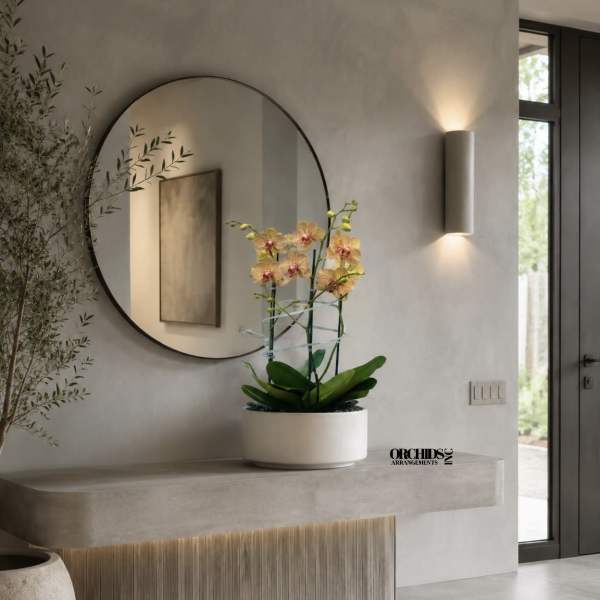 Peach Phalaenopsis Orchid Arrangement – Triple Stem Elegant Design