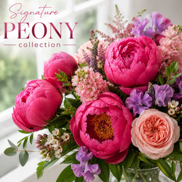 Signature Peony Collection | Designer's Choice