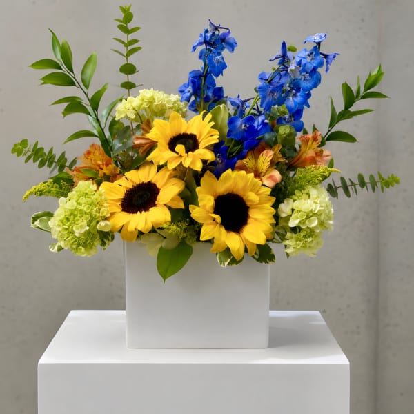 Sunflowers and blue delphinium in a white square vase