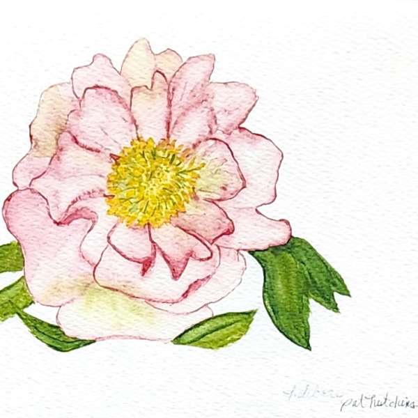 Pink watercolor flower with a yellow center and green leaves