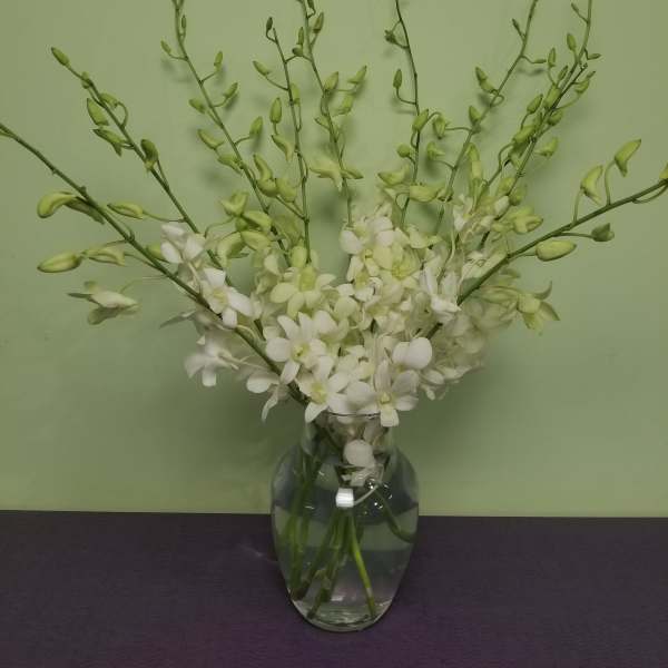 White orchid stems arranged in a clear glass vase