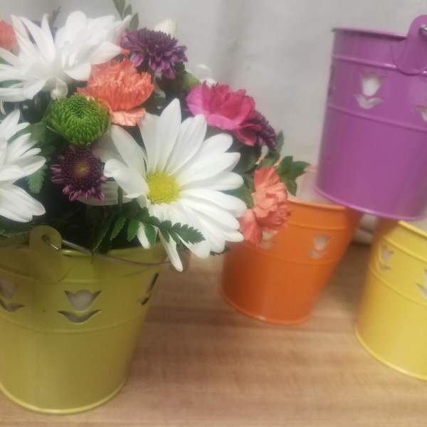 Mixed daisy bouquet in a green metal bucket with colorful buckets behind it