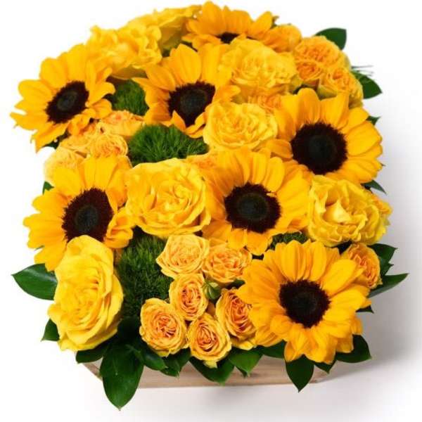 Low rectangular arrangement of bright yellow sunflowers and roses in a wooden container