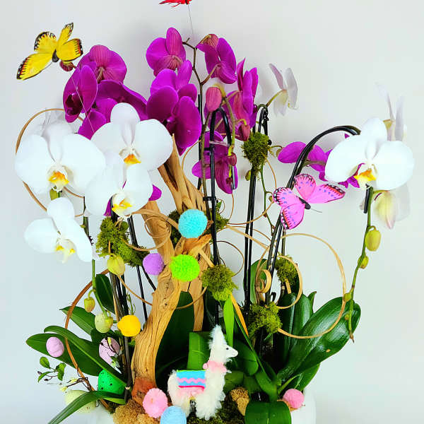 Orchid arrangement in a white bowl with butterflies and a small llama figurine