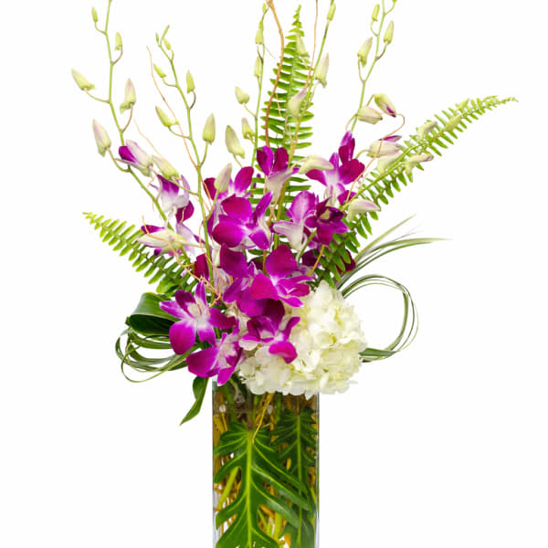 Purple orchids in a tall glass vase with white hydrangea and tropical leaves