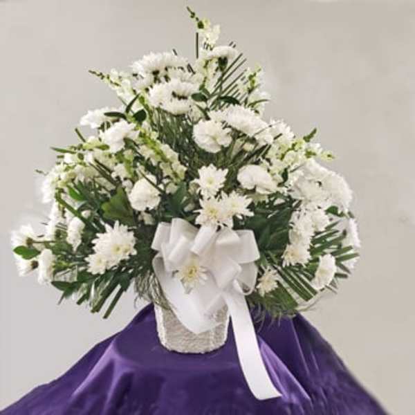 Dignified Tribute