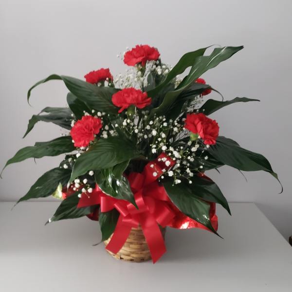 Basket arrangement of red carnations with white baby's breath and a red ribbon
