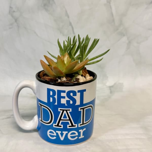 Best Dad Mug Planter