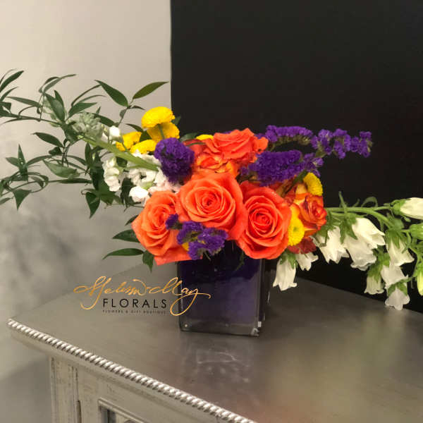 Purple Frenzy