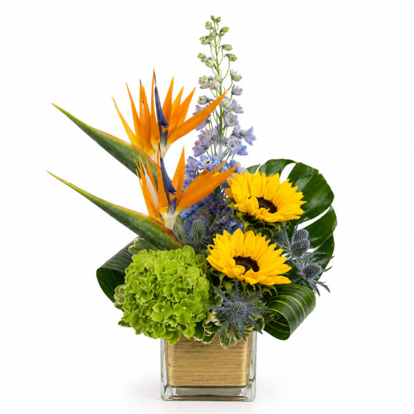 Tropical bouquet with sunflowers, bird of paradise, and blue flowers in a square vase