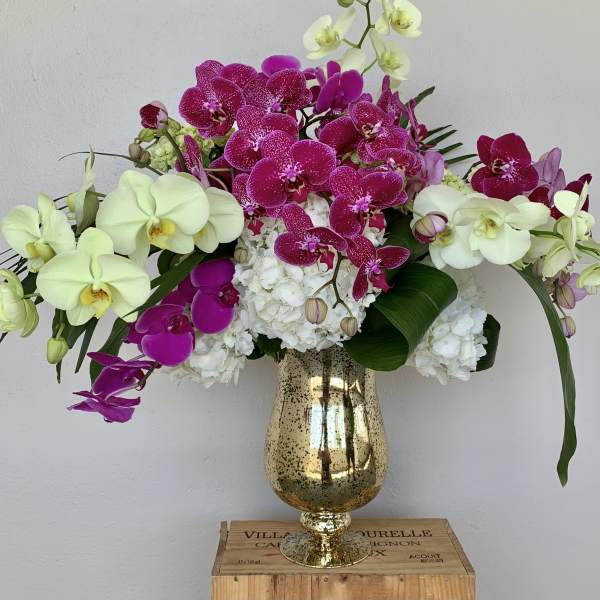 Orchid arrangement in a gold vase with white hydrangeas