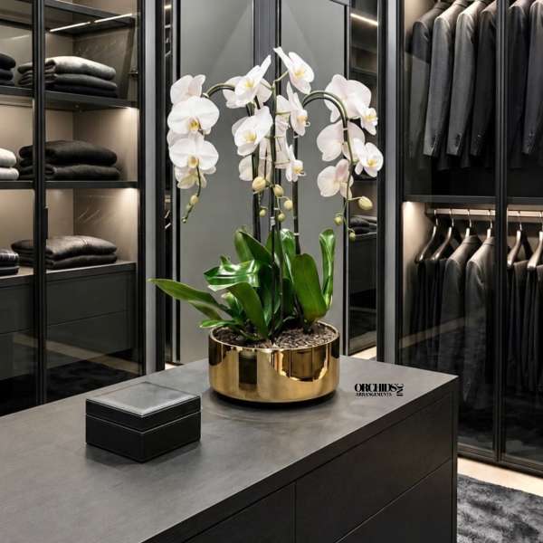White Phalaenopsis Orchid Arrangement – Triple Stem Minimal Luxury