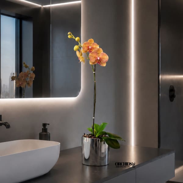 Potted orchid with orange blooms in a silver container on a countertop