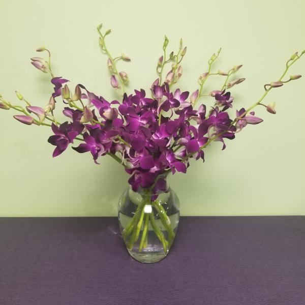 Purple orchids arranged in a clear glass vase