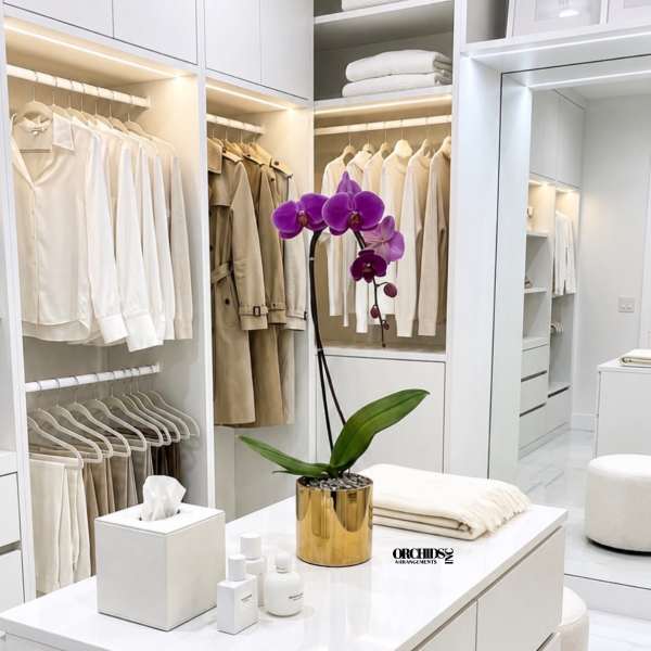 Purple orchid in a gold pot on a white island in a walk-in closet.