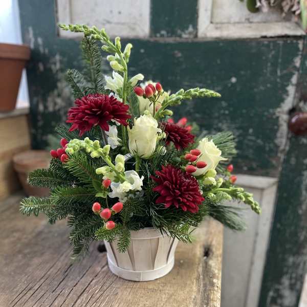 Compact floral arrangement in a white pot with red and white blooms