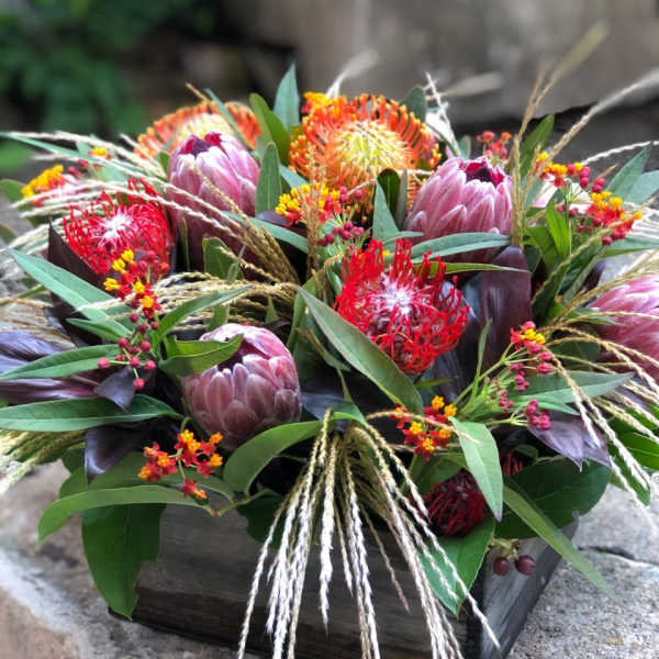 Mixed tropical bouquet in a wooden box with pink protea and red-orange blooms