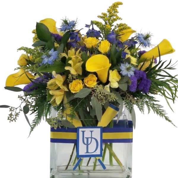 UD Grad