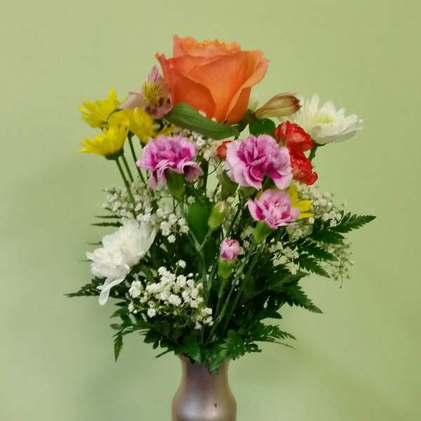 Buds of Spring