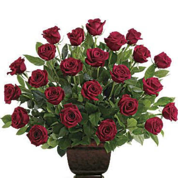 Arrangement of red roses in a dark urn vase