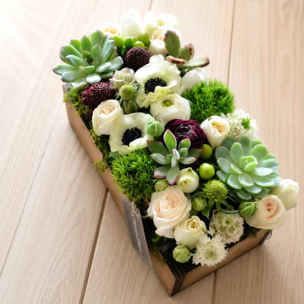 Creams & Greens