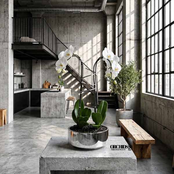 White orchids in a metallic planter inside a modern concrete room.
