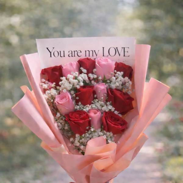 Bouquet of red and pink roses with baby's breath in pink wrap
