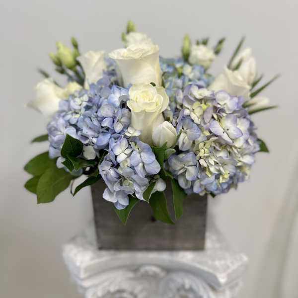 Compact arrangement of white roses and blue hydrangeas in a gray wooden box