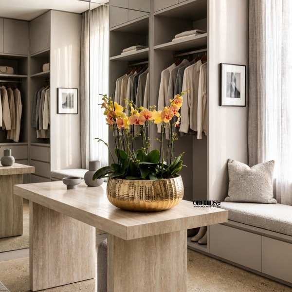 Peach Phalaenopsis Orchid Arrangement – 10 Stem Designer Arrangement