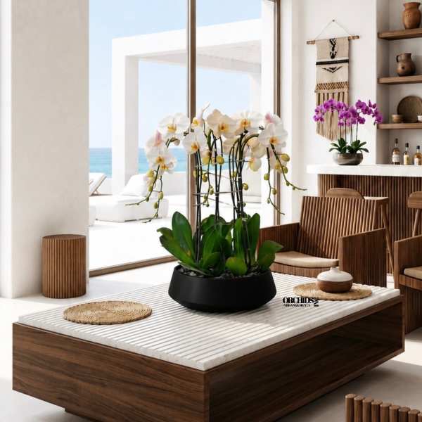 White and purple orchids in a black bowl planter on a table