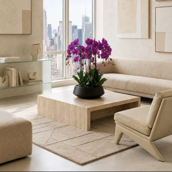 Potted purple orchids on a coffee table in a beige living room