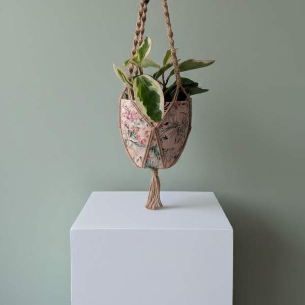 Pepperomia in Ceramic Macrame Holder