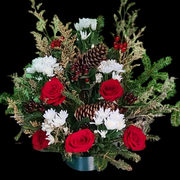 Red roses and white daisies in a low holiday arrangement with pinecones