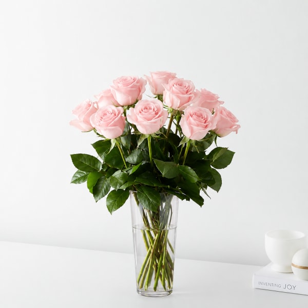 Dozen Light Pink Roses