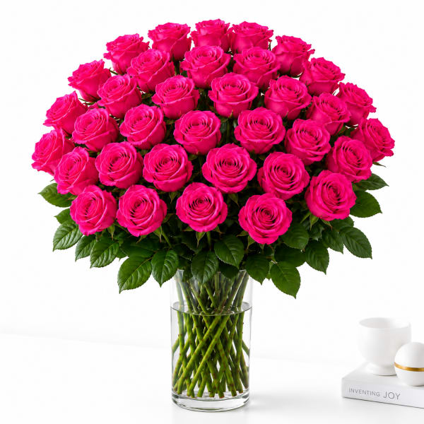 36 Hot Pink Roses