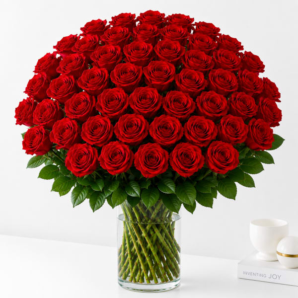48 Red Roses